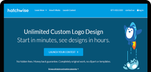 Why I Choose Hatchwise for Logo Contests, Design Contests and Naming Contests [Updated for 2024]