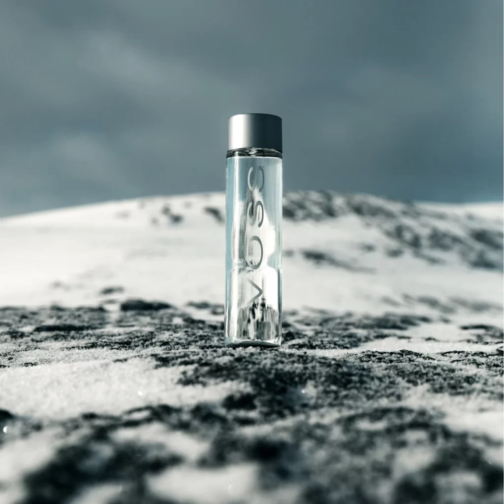 Voss Logo